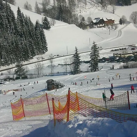 Vidmar-ferienglueck * Arriach