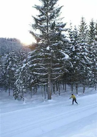 Vidmar-ferienglueck Apartment